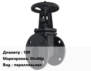 Задвижка чугунная 100 30ч66р параллельная